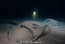 Close encounter with two stingrays @ Regona Cave... by João Monteiro 